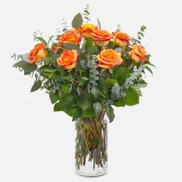 1-Dozen Bicolor Roses