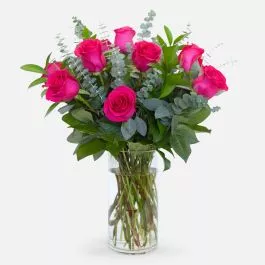 1-Dozen Bright Pink Roses