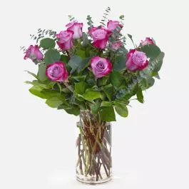 1-Dozen Deep Purple Roses