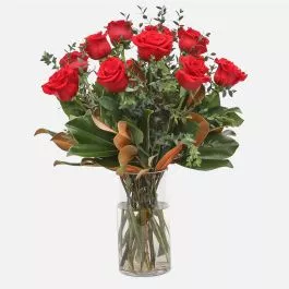 1-Dozen Elegant Roses