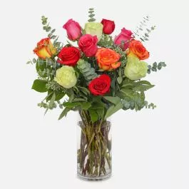 1-Dozen Multicolor Roses