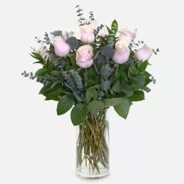 1-Dozen Soft Pink Roses