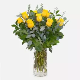 1-Dozen Yellow Roses