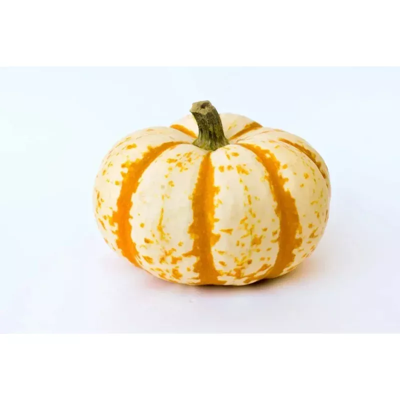10 Dwarf Tiger Striped Pumpkin Seeds