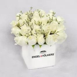 2-Dozen White Roses in Cube (E&V Branded)