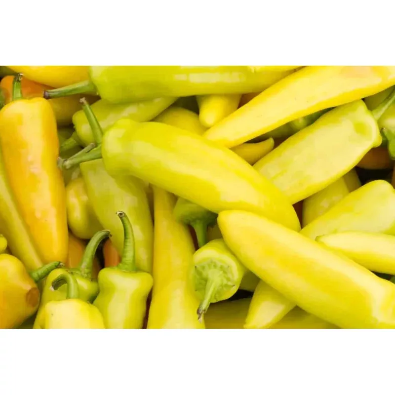 200 Hungarian Wax Hot Pepper Seeds - Heirloom, Non-GMO, Spicy Banana Peppers