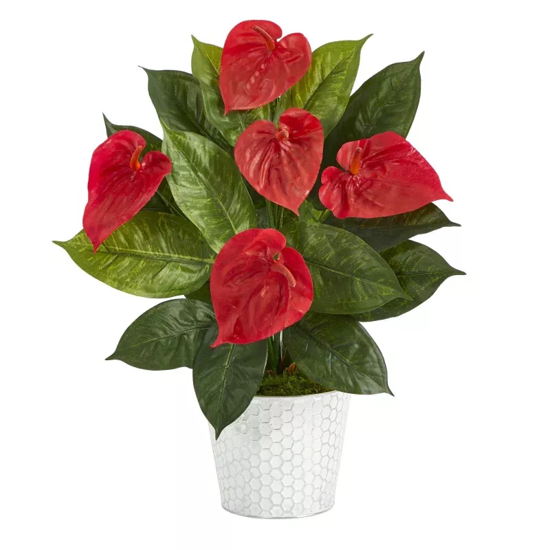 23 Anthurium Artificial Plant in Embossed White Planter
