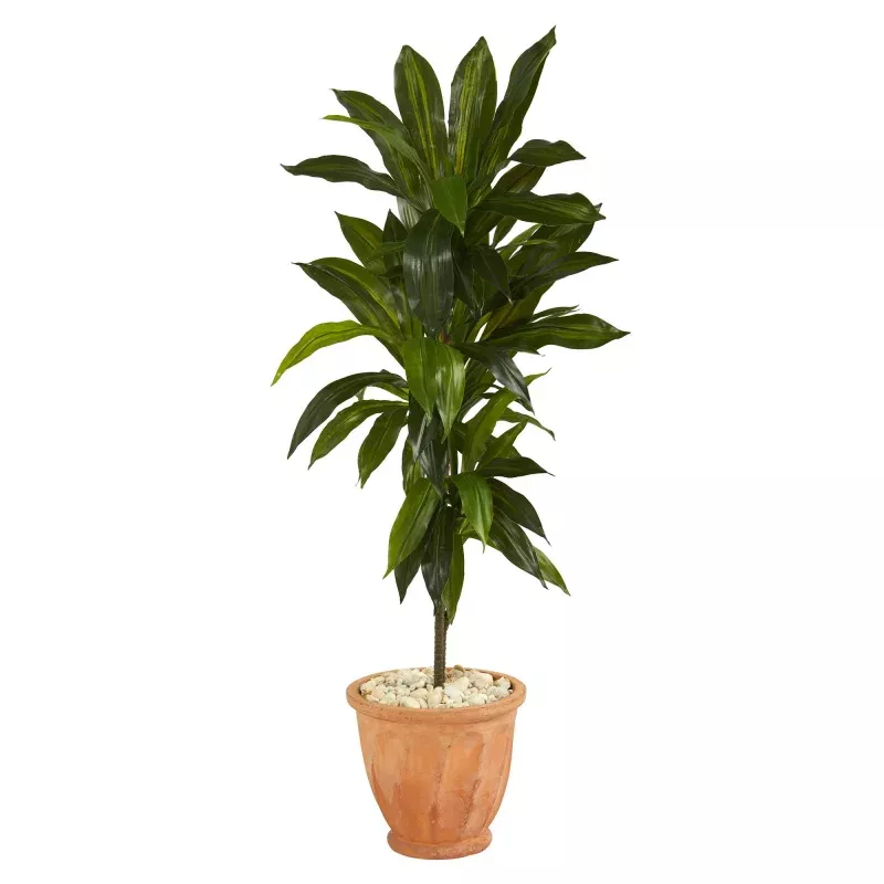 4 Dracaena Artificial Plant in Terra-Cotta Planter (Real Touch)