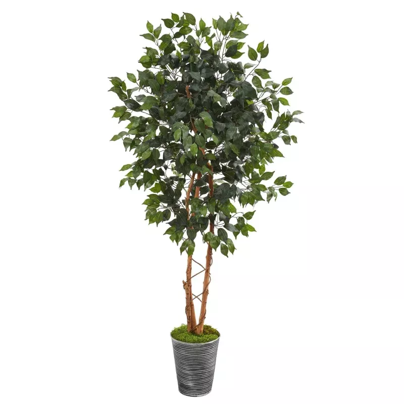 5.5 Ficus Artificial Tree in Decorative Tin Planter