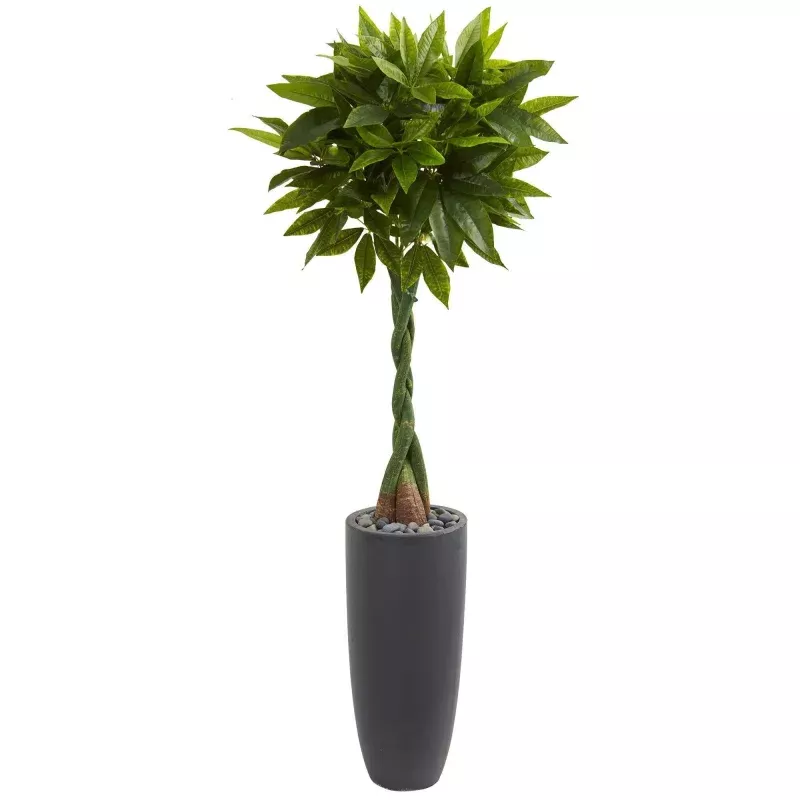 5.5 Money Artificial Tree in Gray Cylinder Planter (Real Touch)