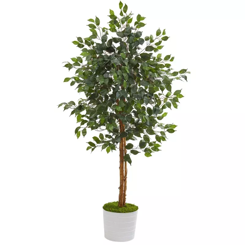 5 Ficus Artificial Tree in White Tin Planter