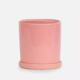 8” Baby Pink Ceramic + Saucer