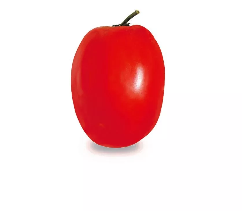 Alvaro F1 (TY) Roma Tomato