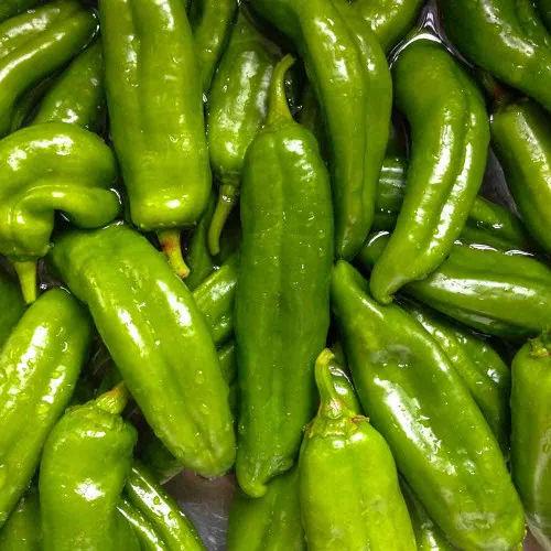 Anaheim Hot Pepper Seeds - (Capsicum annuum)