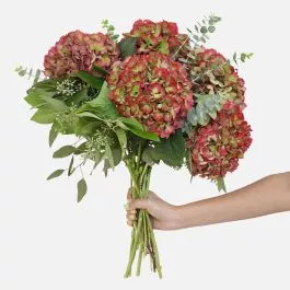 Antique Red Hydrangea Bouquet