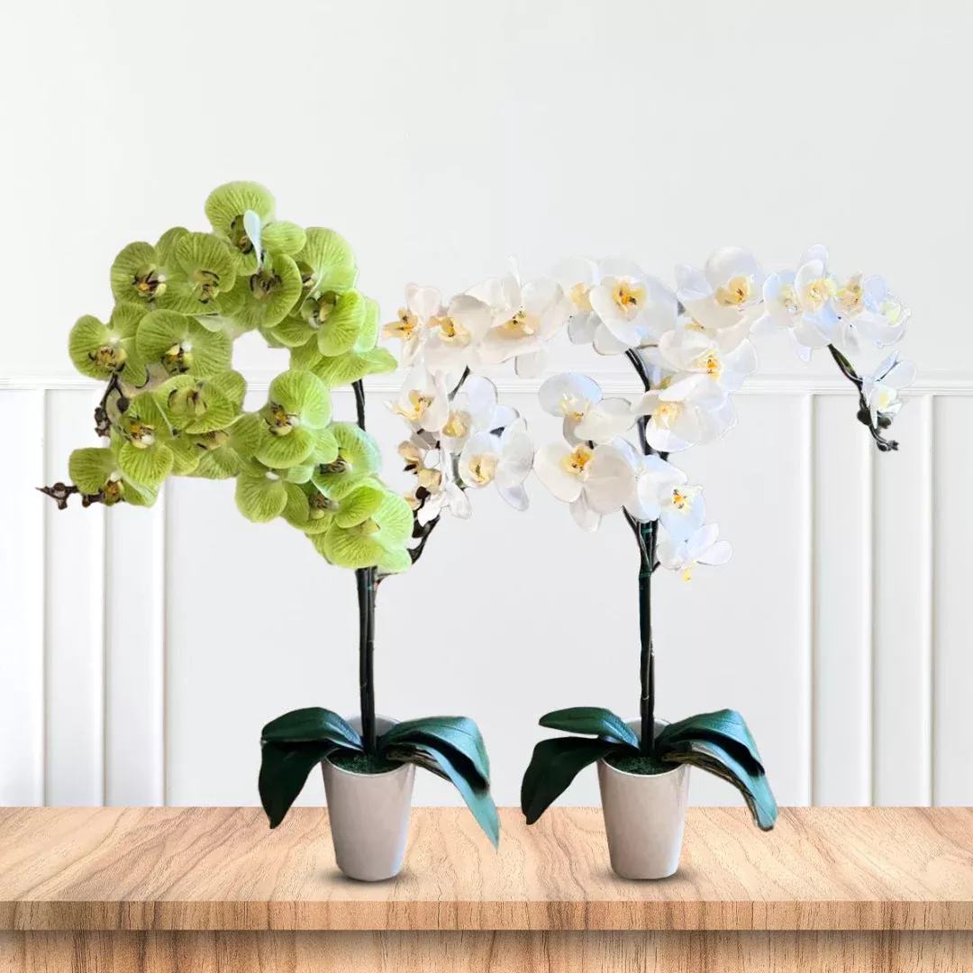 Artificial Orchids in Oval Ceramic Pot – Stunning Low-Maintenance Gift