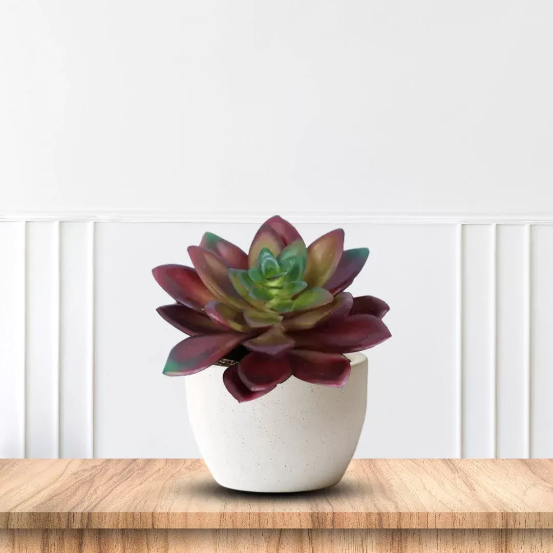 Artificial Succulent in Ceramic Pot – Classic Lifelike Faux Plant Gift