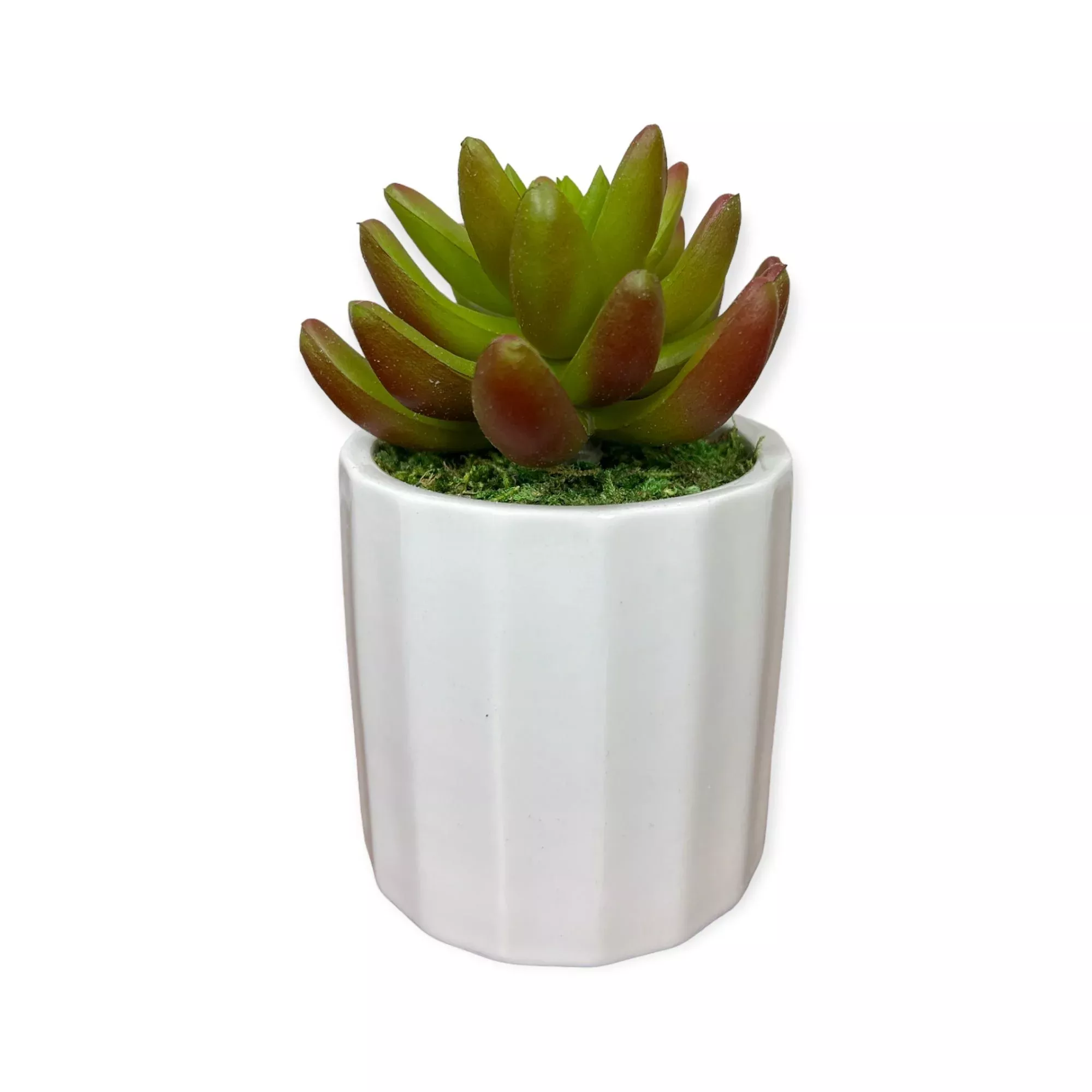 Artificial Succulent in Ceramic Pot – Lifelike Low-Maintenance Gift