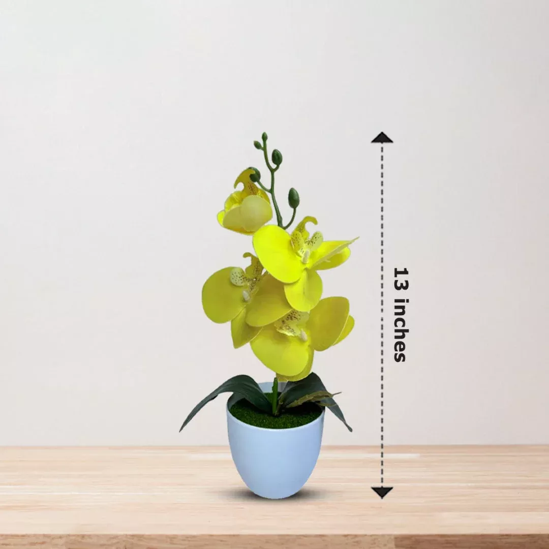 Artificial Yellow Mini Orchid in Choice of Pot – Cheerful Faux Orchid Gift