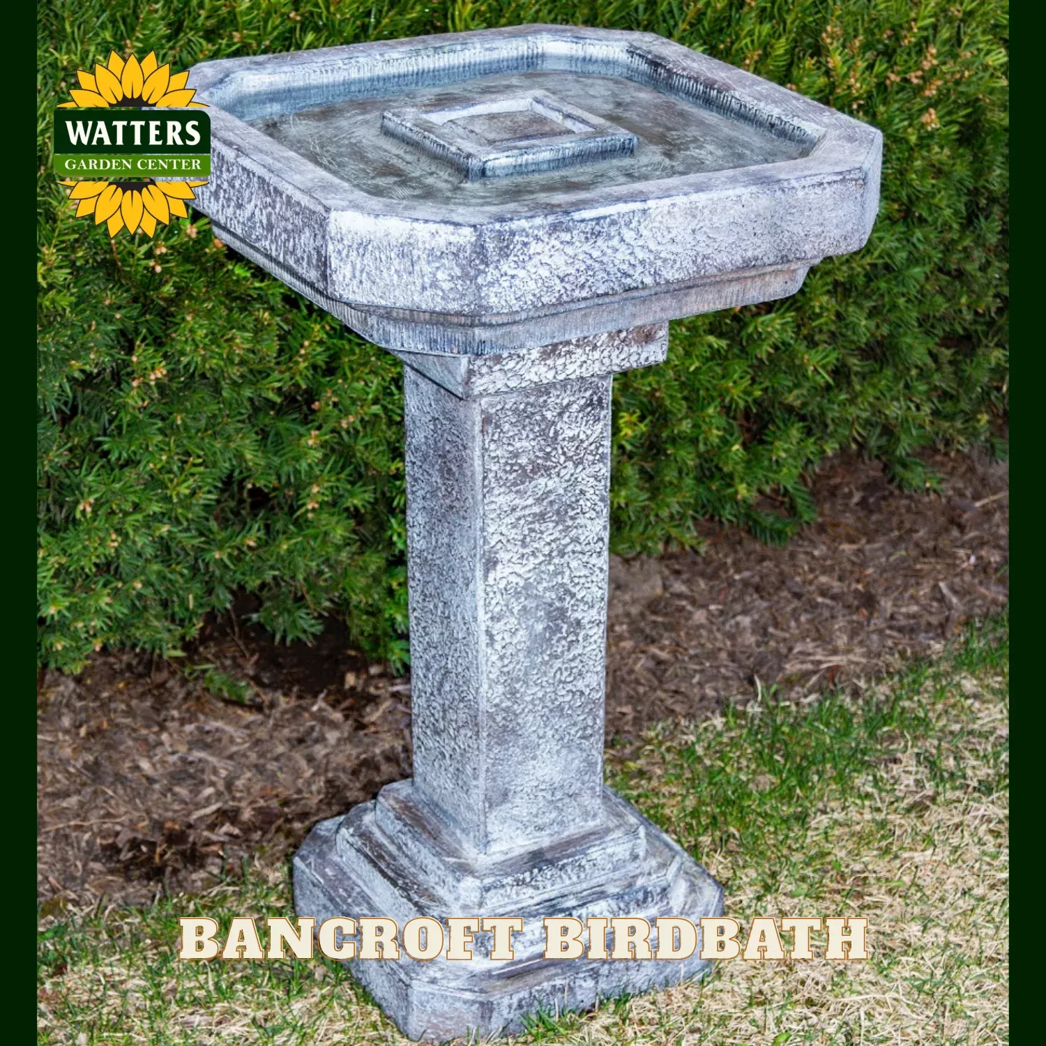 BANCROFT BIRDBATH