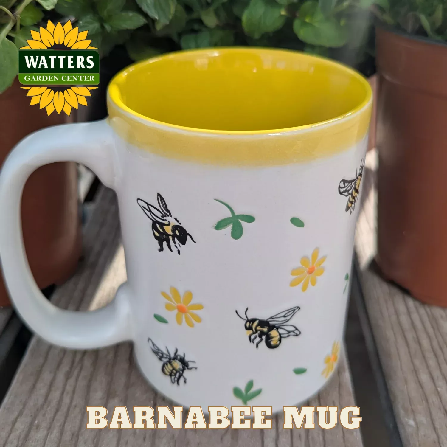 BARNABEE MUG
