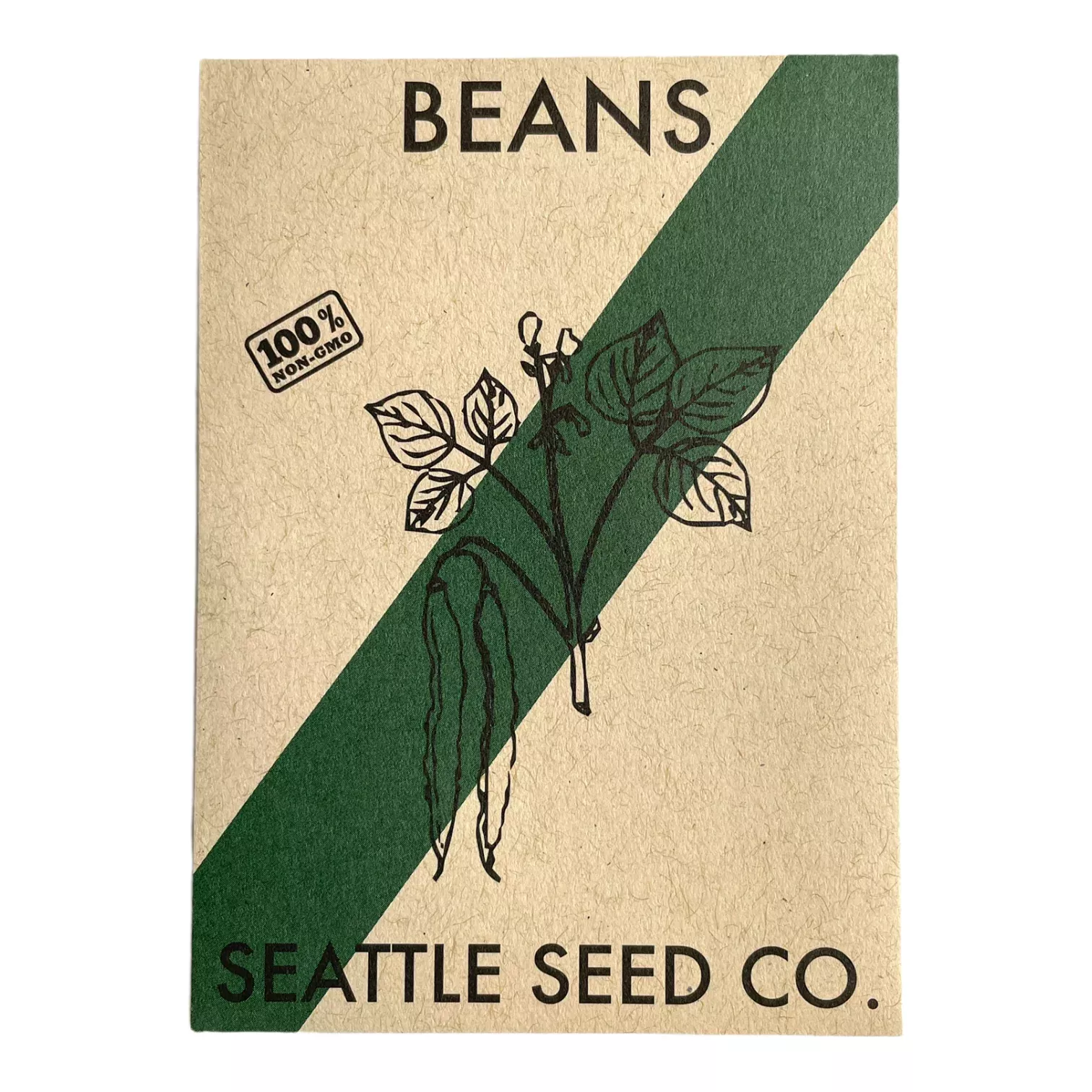 Beans – Venice (Bush)