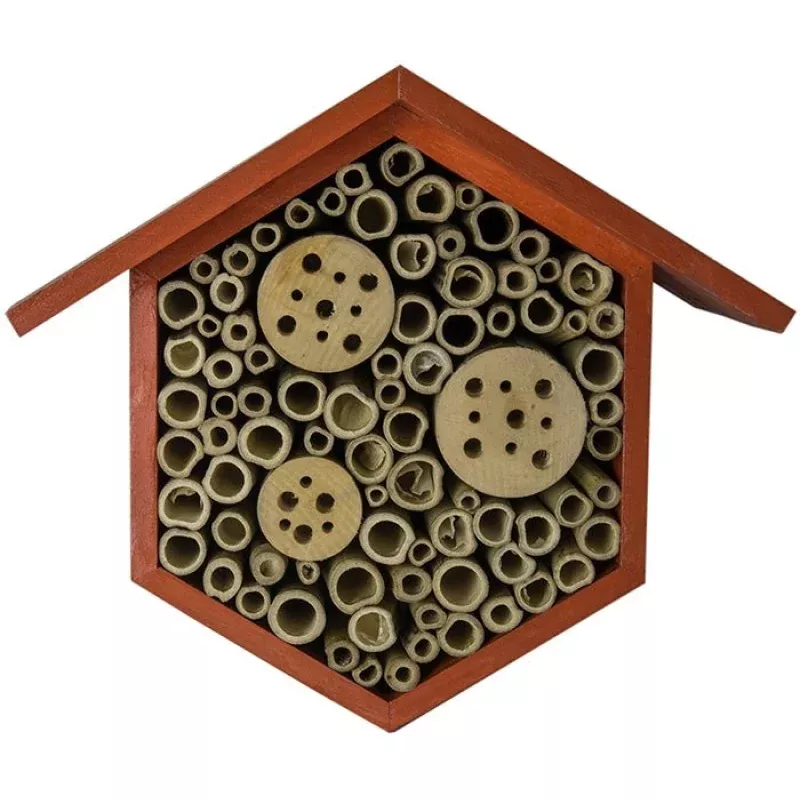 Beneficial Bug House: Hibiscus