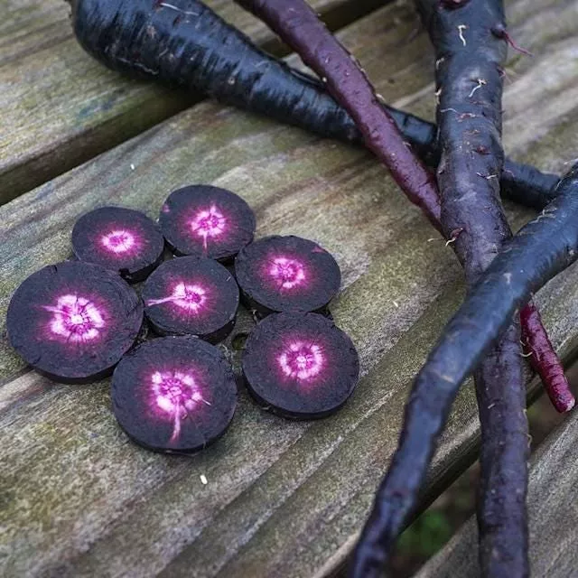 Black Purple Carrot Seeds Pusa Asita