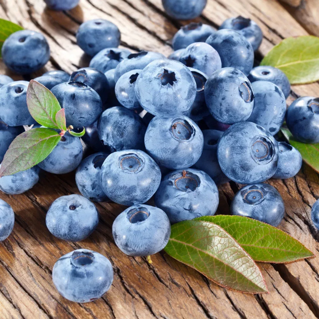 Bless Your Heart Blueberry Bush – Southern Highbush Edible Landscape Blueberry (Vaccinium)