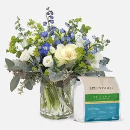 Blue Diamonds + PlantShed Coffee