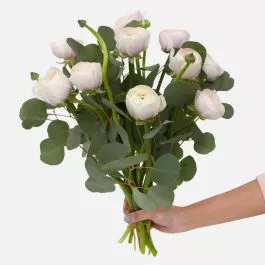Blush Ranunculus Bouquet