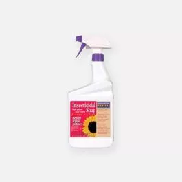 Bonide Insecticidal Soap