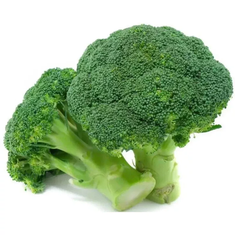 Broccoli Seeds - 1000+ Heirloom Waltham 29 - Organic Non-GMO - Fresh