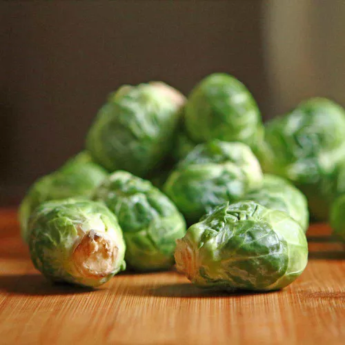 Catskill Brussels Sprout Seeds - (Brassica oleracea)