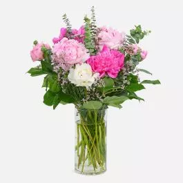 Charming Peonies