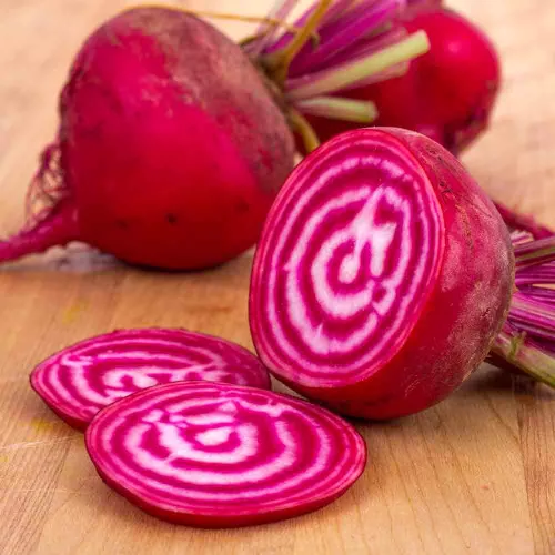 Chioggia/Candystripe Beet Seeds - (Beta vulgaris)