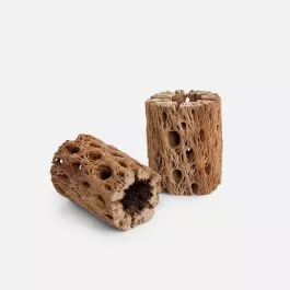 Cholla Wood