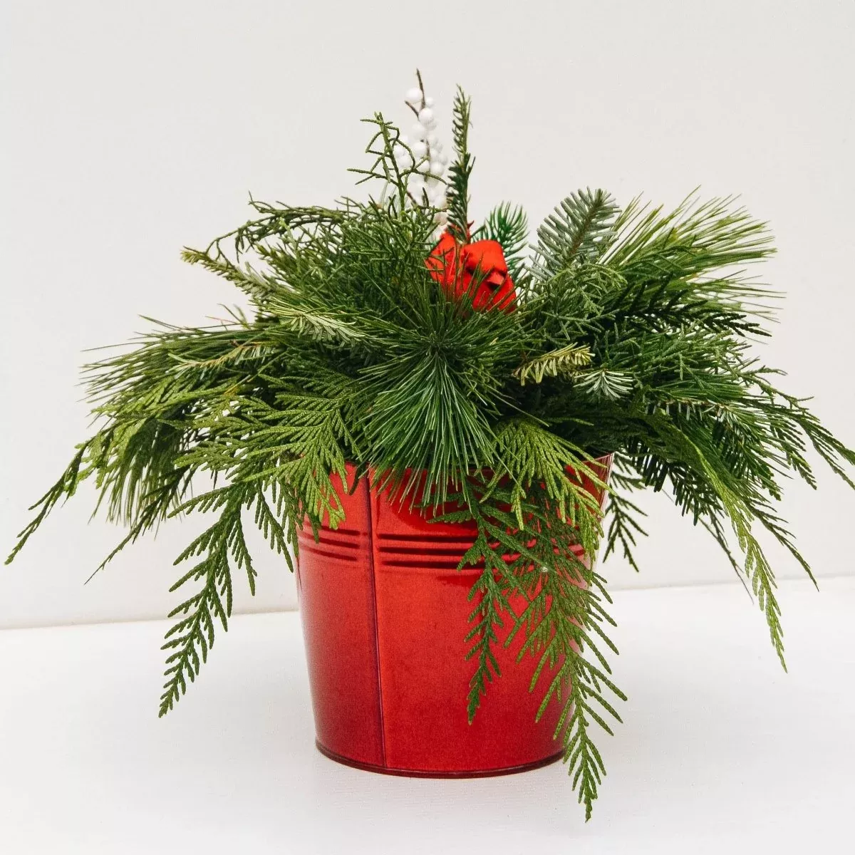 Christmas Bird Planter - 4.5 Inch Tin Pot