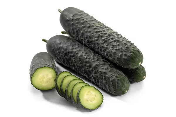 Cigaset F1 Cornichon Cucumber