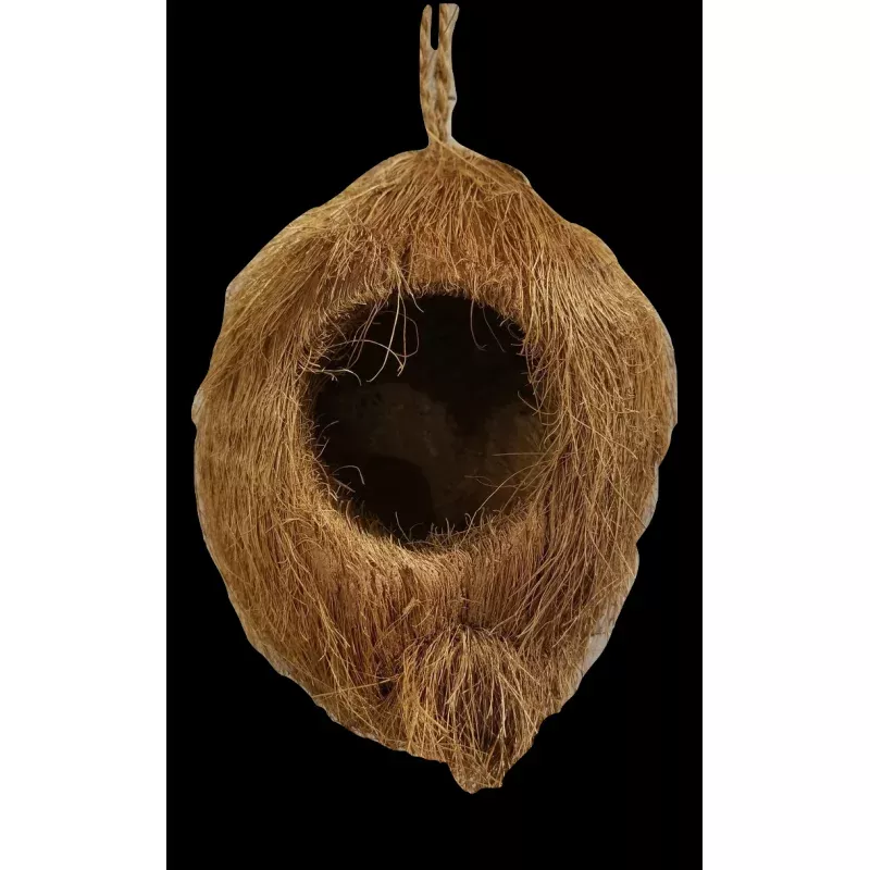 Coconut Blind