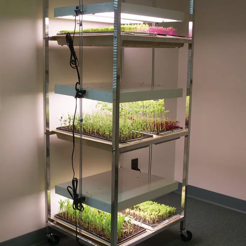 Compact Seedling Light Cart – 6 Trays, 120 Watts