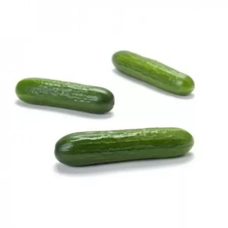 DeltastarF1 Mini Cucumber