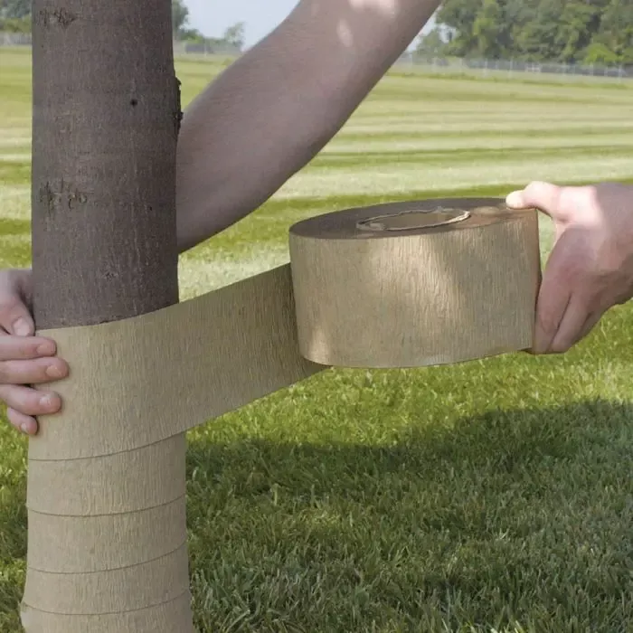 (DEWITT TREE WRAP) –