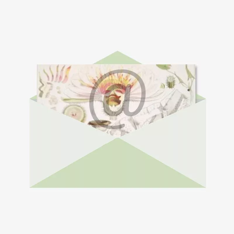 Digital Gift Card (online only)