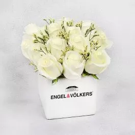 A Dozen White Roses in Ceramic Cube (E&V Branded)