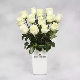 A Dozen White Roses in Ceramic Vase (E&V Branded)