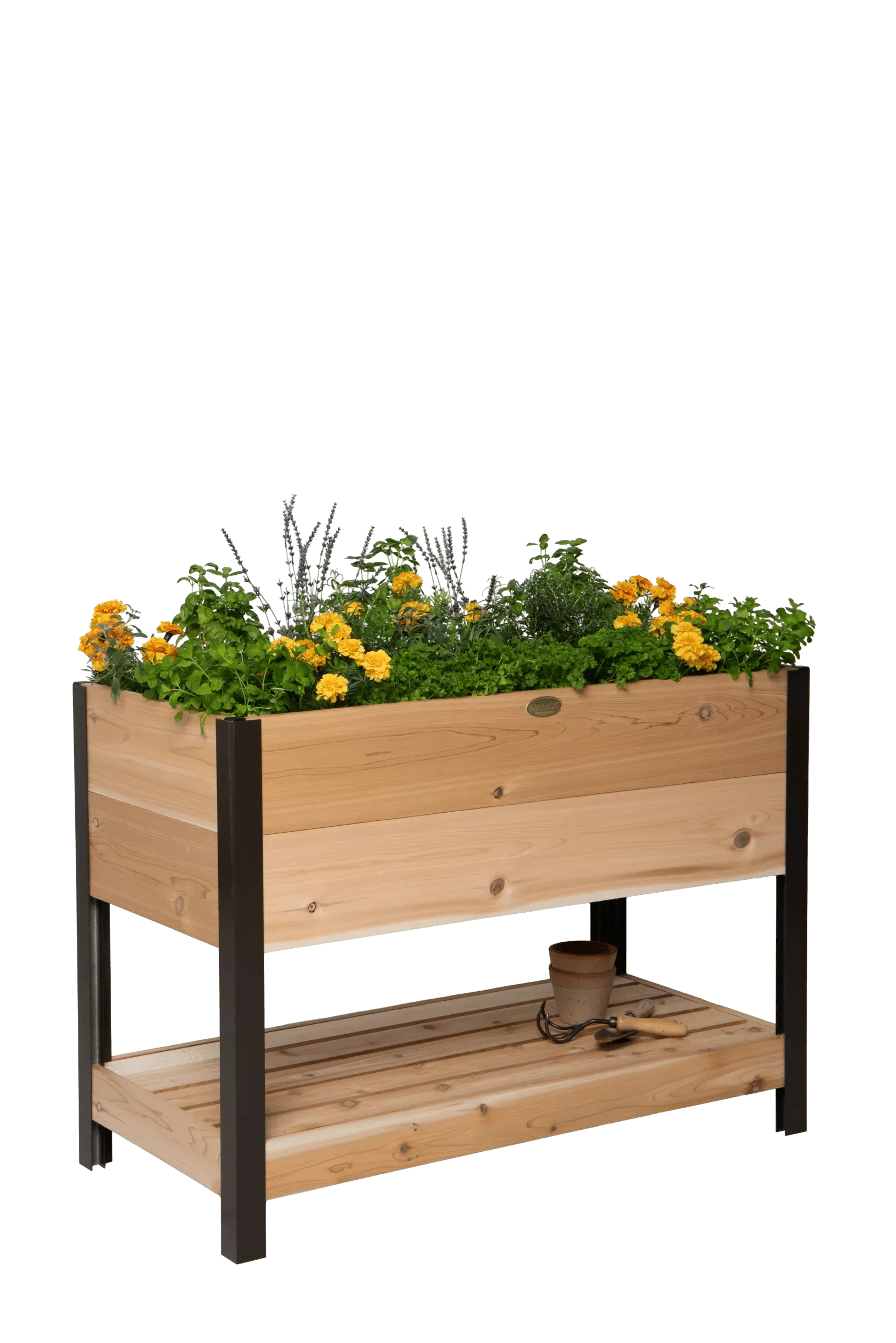 Elevated Cedar Planter Box with Shelf, 2′ x 4′