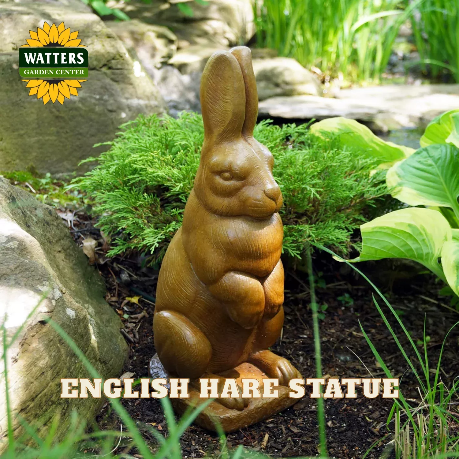 ENGLISH HARE STATUE 18″ TALL