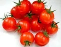 Favorita F1 Cherry Tomato