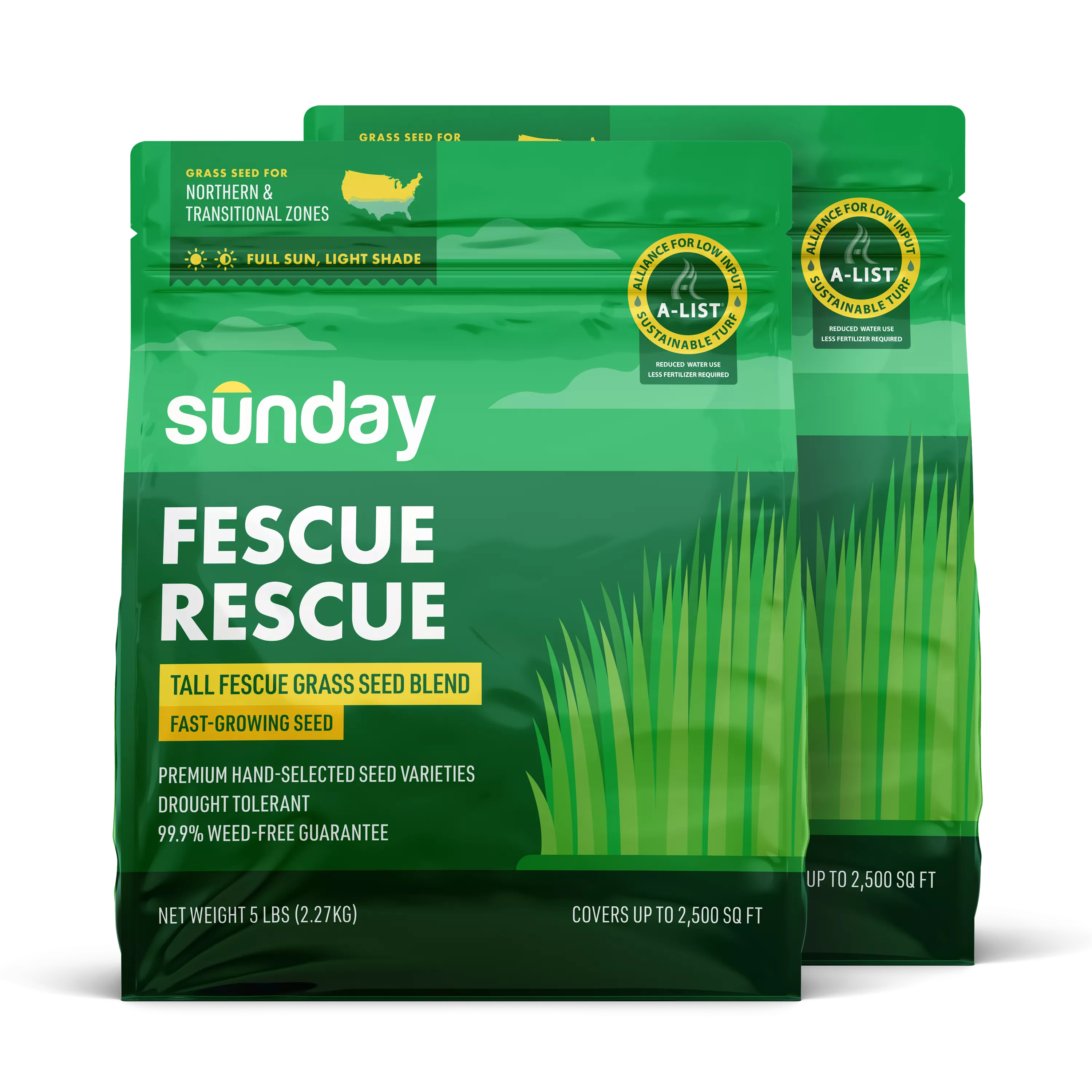 Fescue Rescue Grass Seed (2-pack)